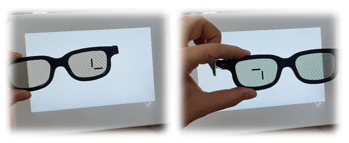 Polarization Demo